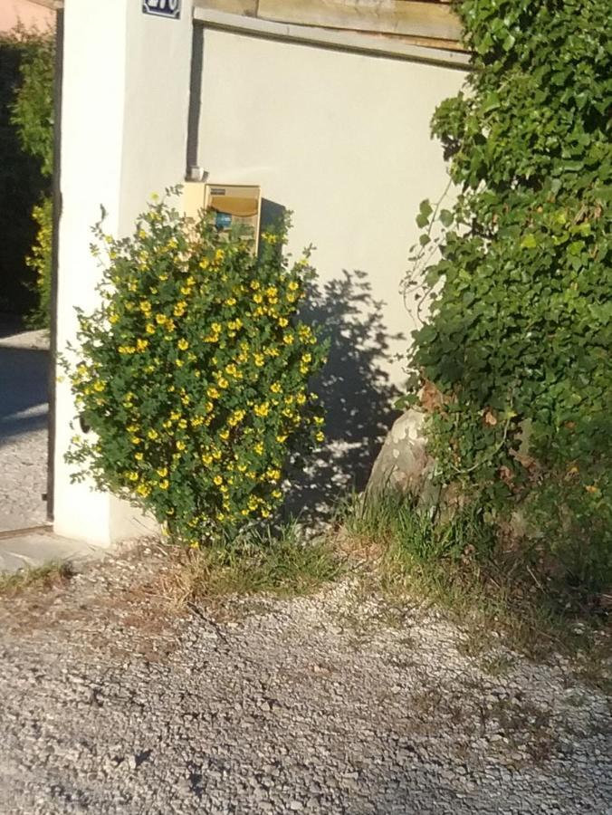 Une Chambre En Ville LʼIsle-sur-la-Sorgue Exterior foto