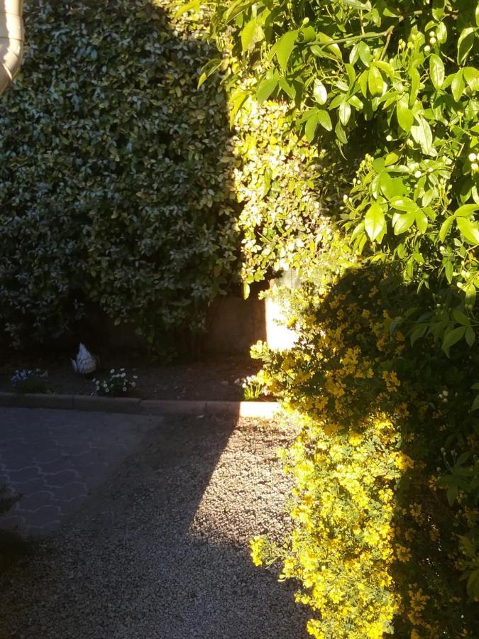 Une Chambre En Ville LʼIsle-sur-la-Sorgue Exterior foto